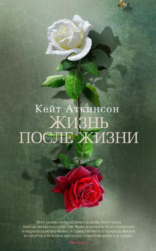 книга жизнь после жизни скачать
