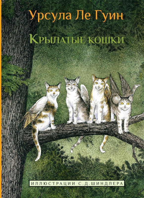 кошки1