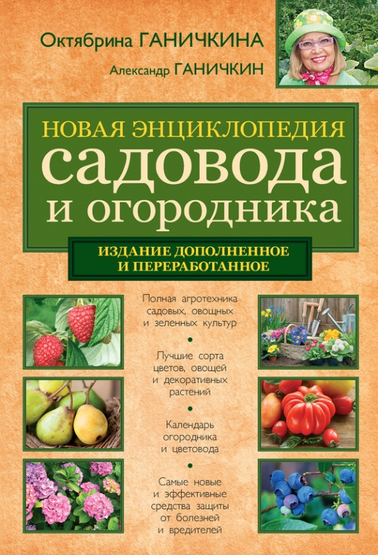 it190805_027