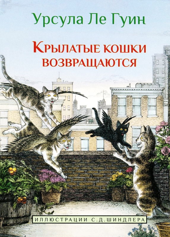 кошки2